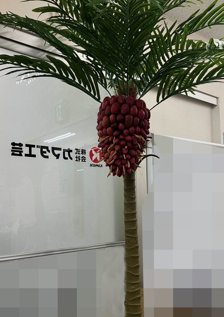 イベントブース用模型、パームヤシの木、模型